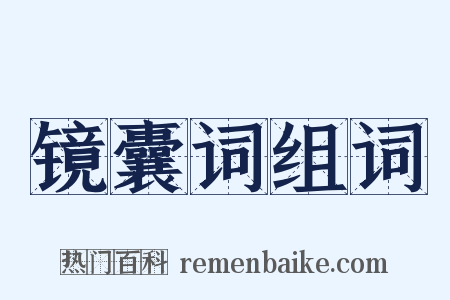 镜囊词组词是什么意思的图片